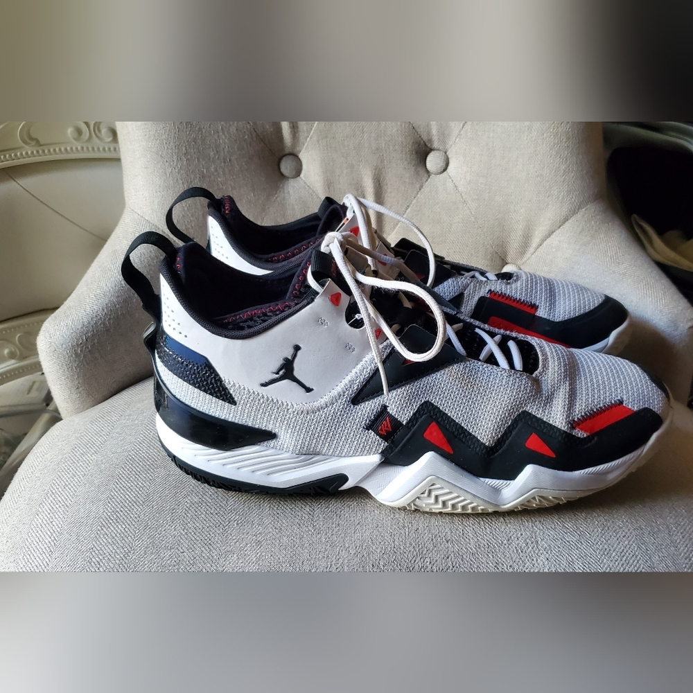 Air JORDAN Shoes Size 16